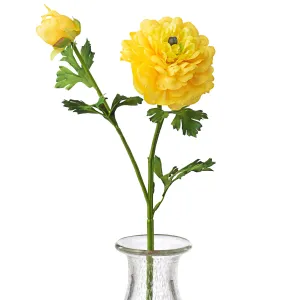 20" German Ranunculus Spray: Yellow