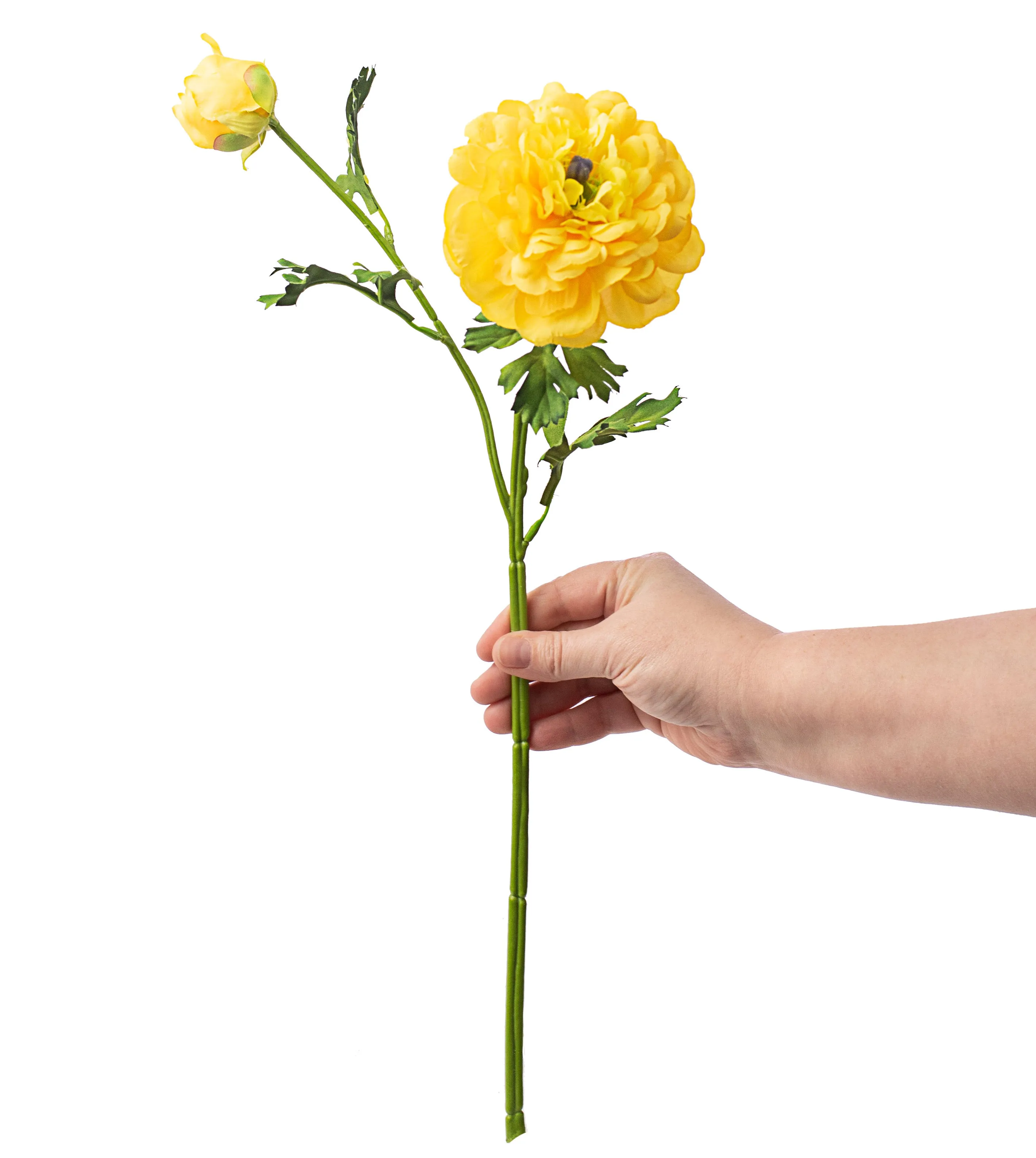 20" German Ranunculus Spray: Yellow