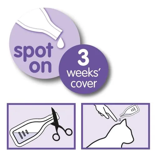 Beaphar Calming Valerian Spot On for Cats 3 Pipette