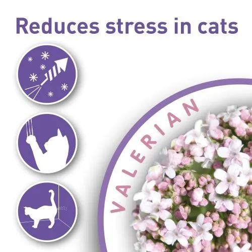 Beaphar Calming Valerian Spot On for Cats 3 Pipette