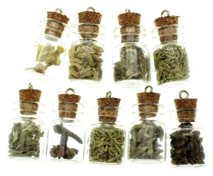 Bottle Charms with Bail Herbs in 22x15mm Glass Bottle