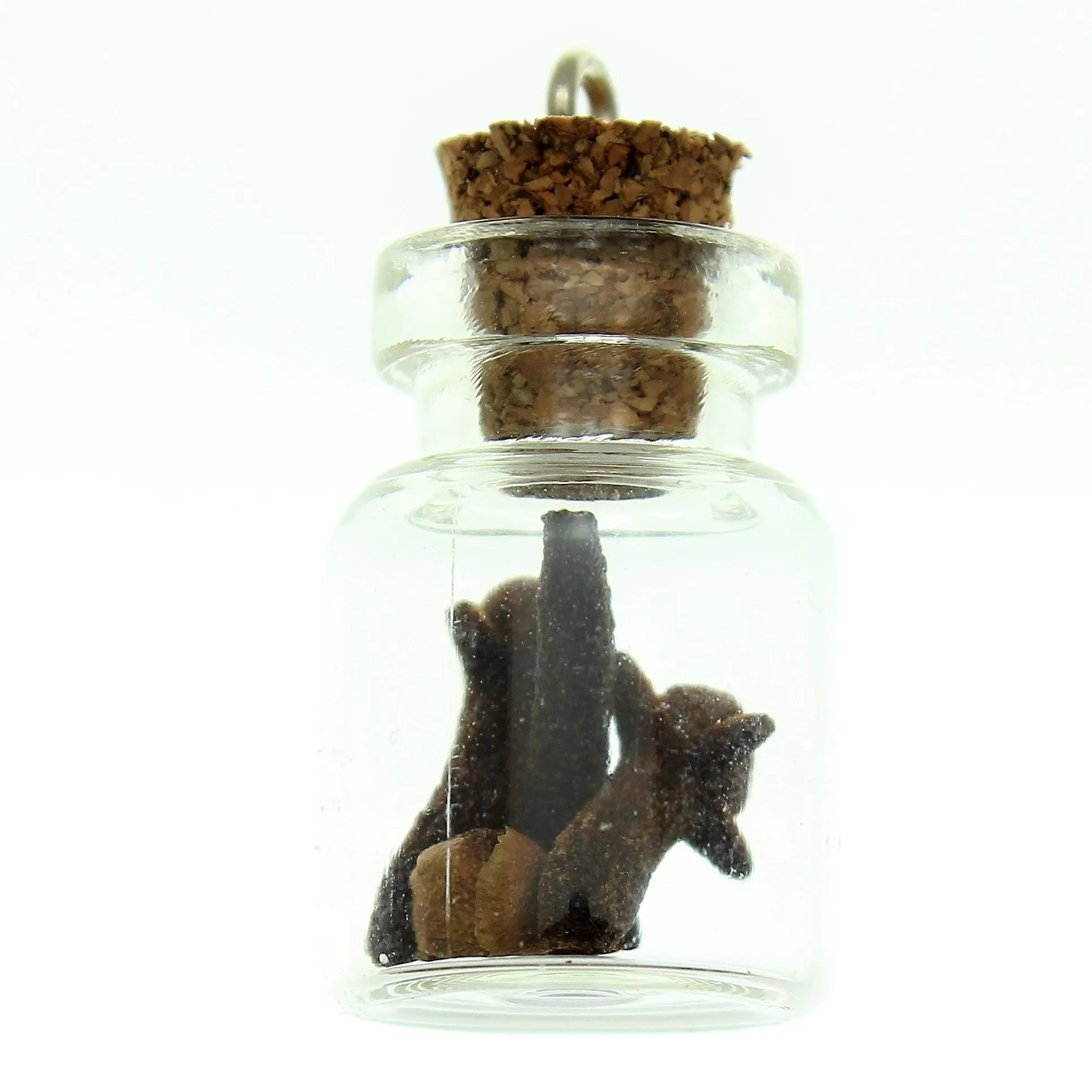Bottle Charms with Bail Herbs in 22x15mm Glass Bottle