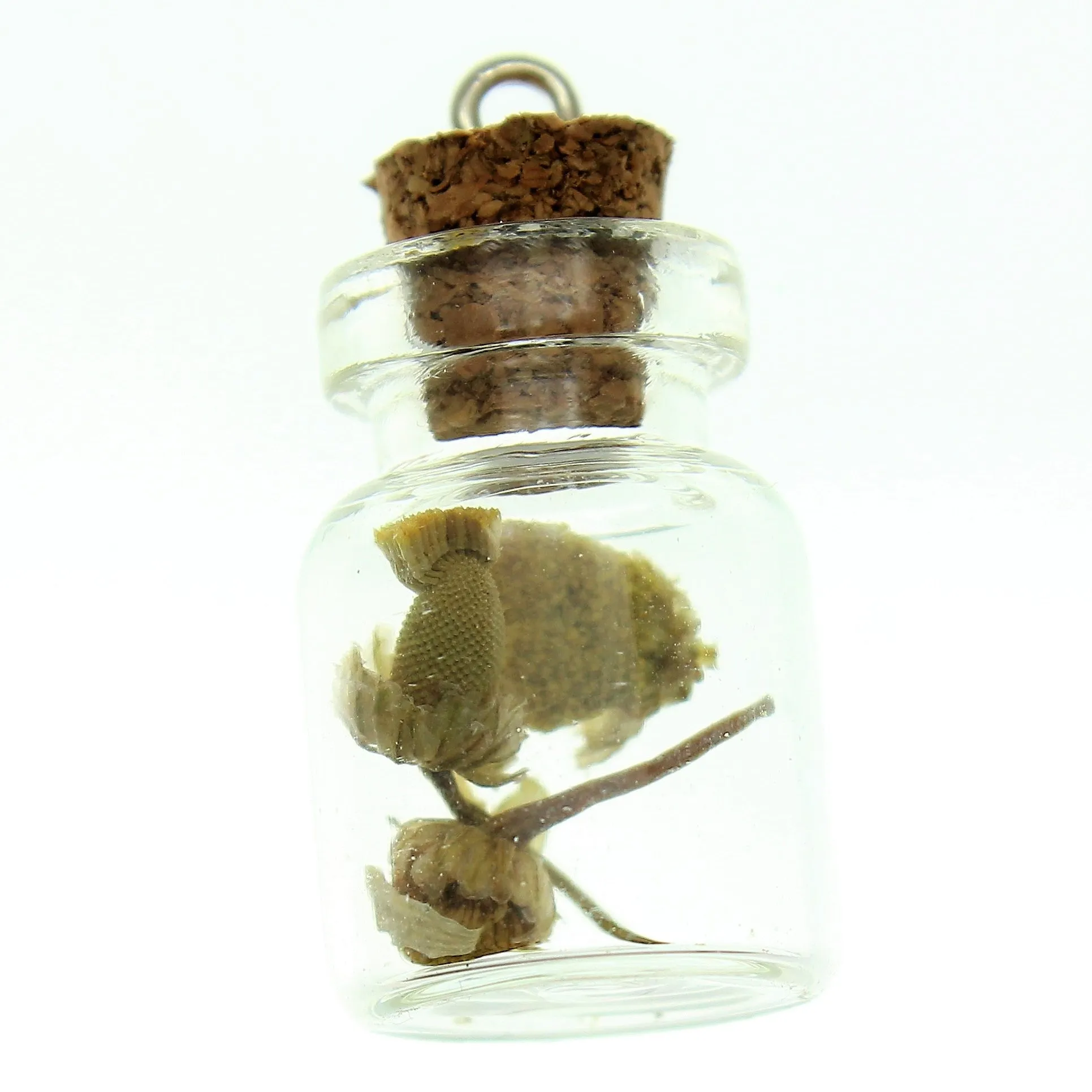 Bottle Charms with Bail Herbs in 22x15mm Glass Bottle