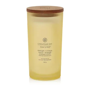 Chesapeake Bay 355g Strength & Energy Large Jar Candle