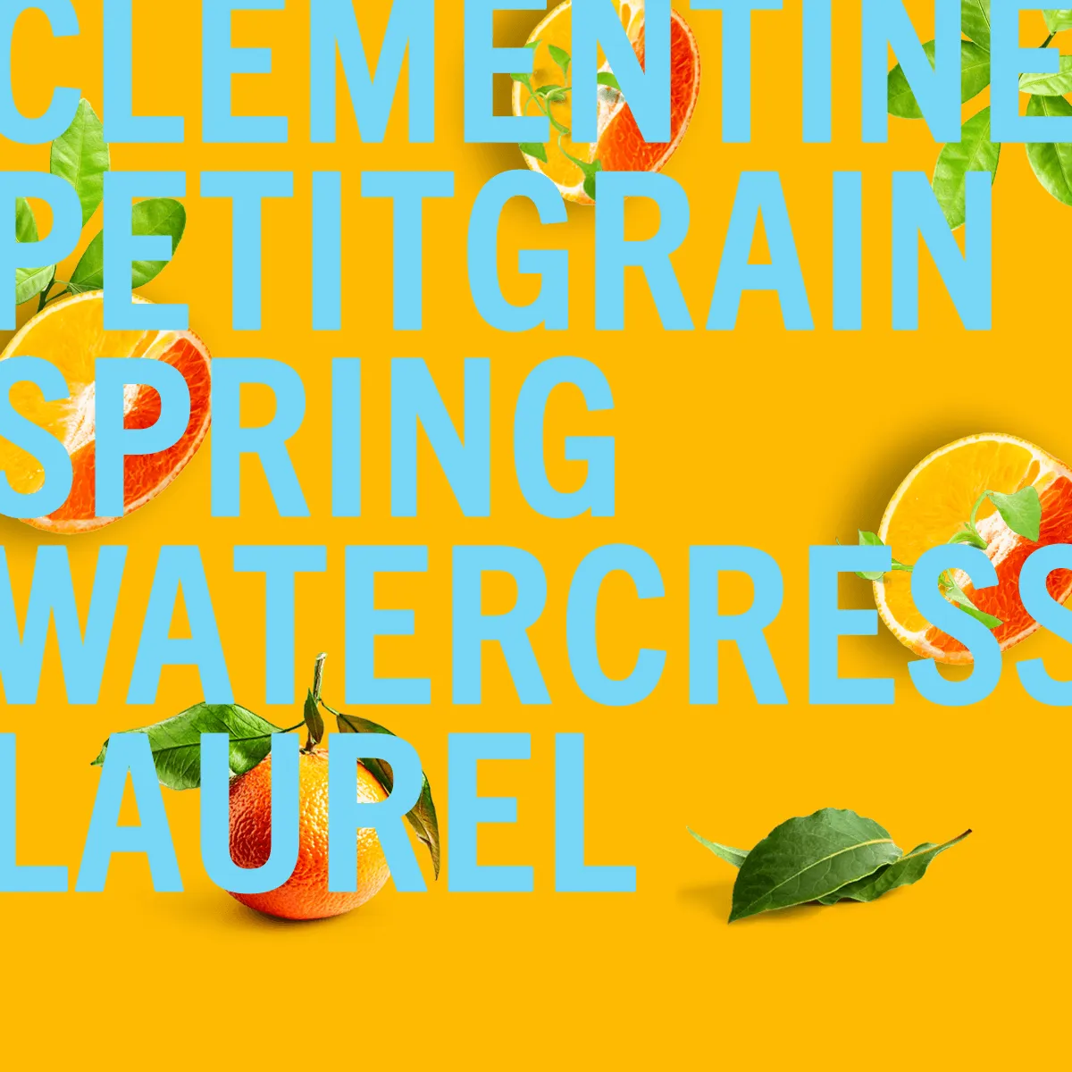 Clementine Sample
