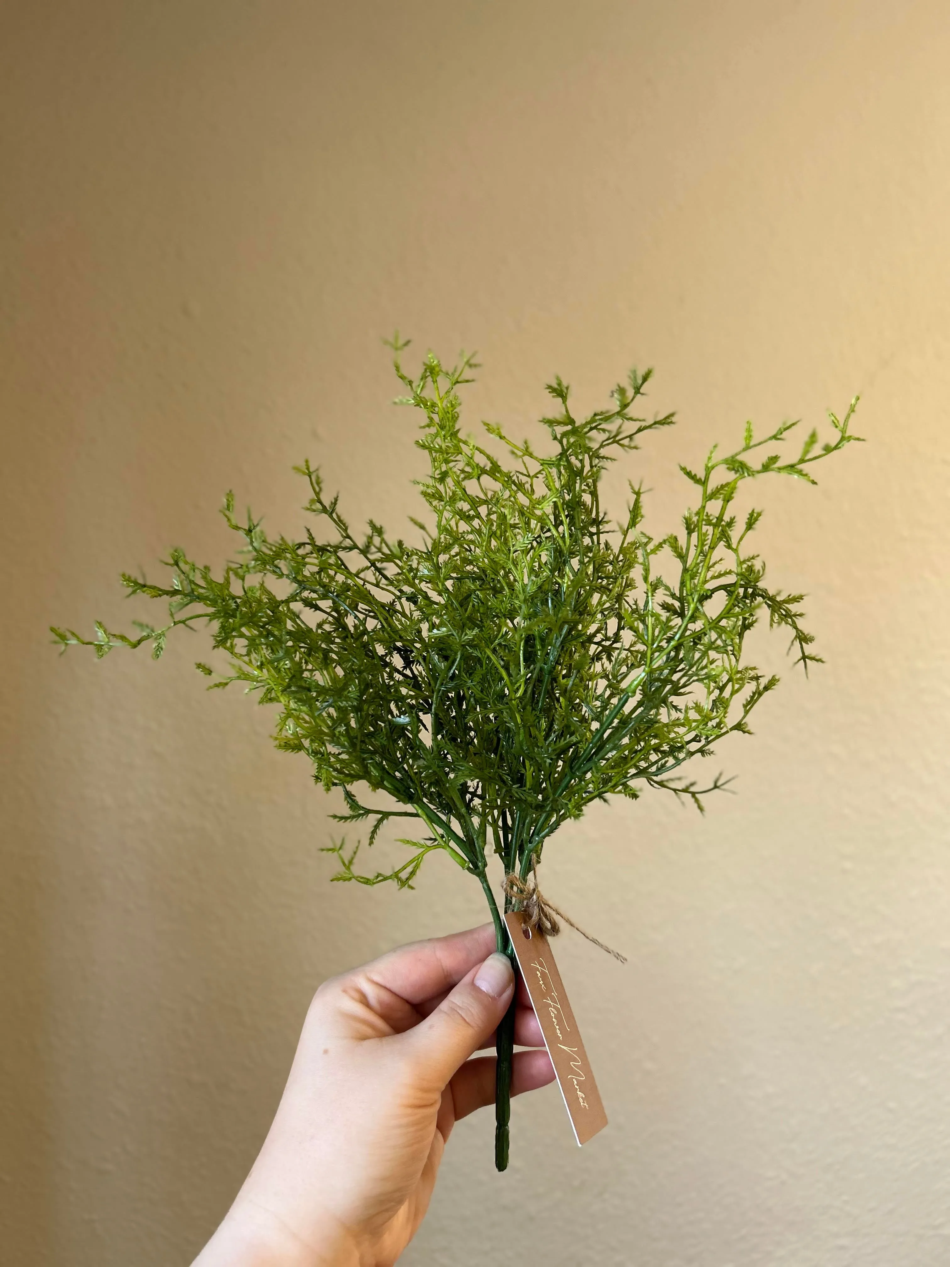 Dill Bush