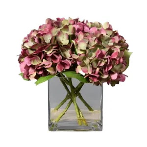 Hydrangea in Glass Vase