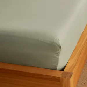 Kane Bamboo - Sage Fitted Sheet