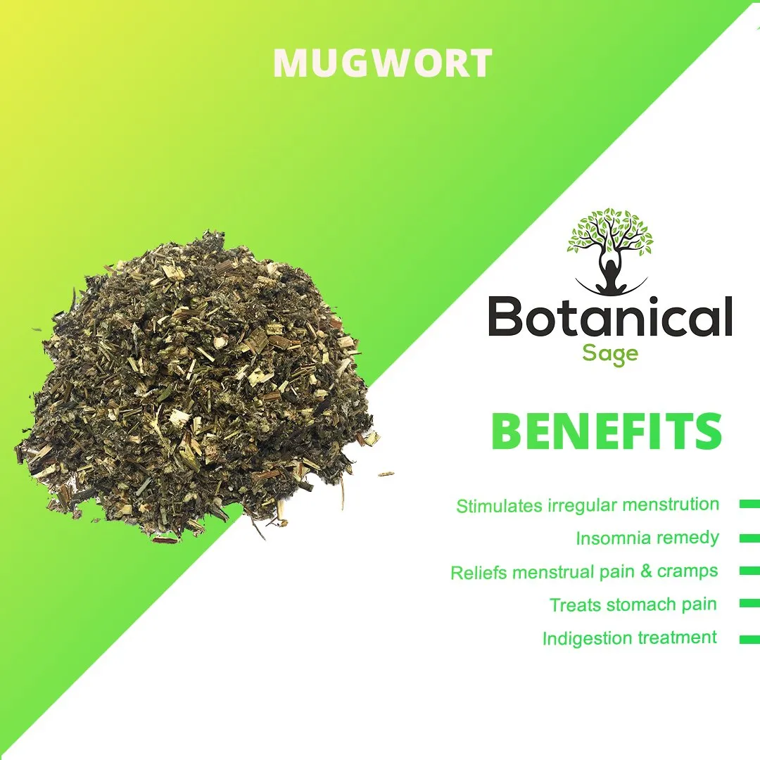 Leanbeing Healthcare - Mugwort
