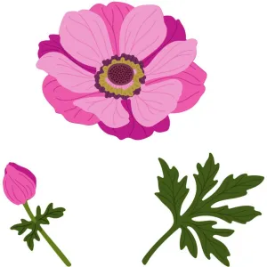 Lovely Layers: Anemone - Honey Cuts