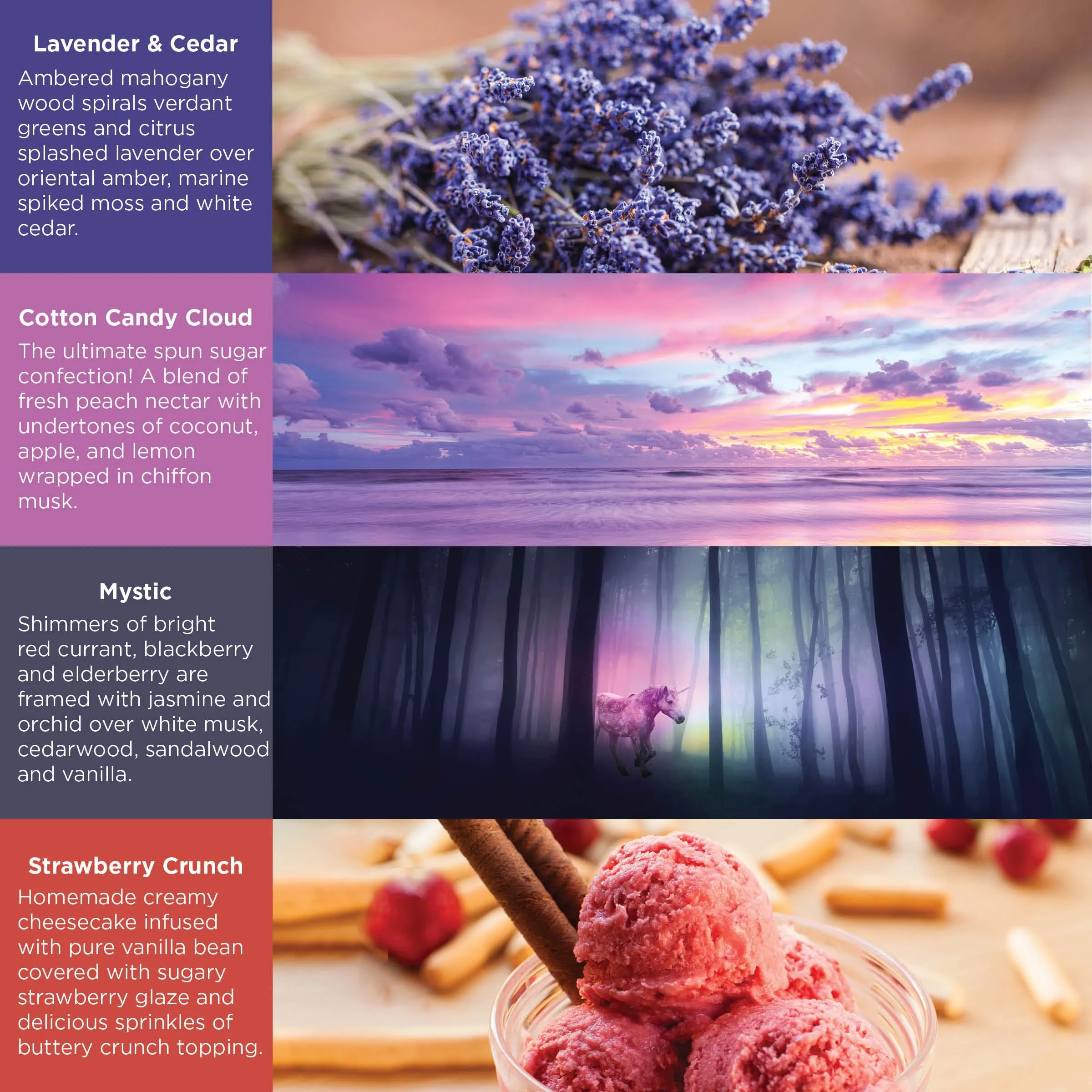 Scentsationals Scented Wax Fragrance Melts
