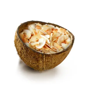 Slow Roasted Coconut Single Note Fragrance Oil